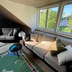 Peaceful Retreat In An Ecological City Apartment